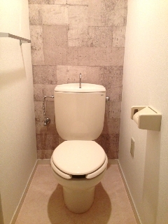 トイレの壁の黄ばみの掃除は原因によって使う洗剤が違います