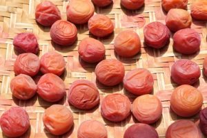 あさイチで紹介された梅ソース子供も喜ぶ「万能梅ダレ」のレシピ