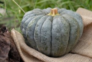 あさイチで発見かぼちゃの簡単な切り方とかぼちゃの煮物レシピ